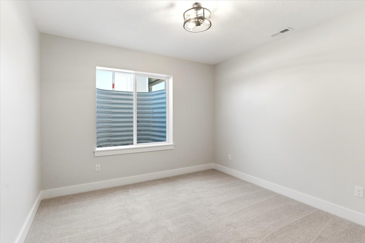 Basement bedroom with walk-in closet