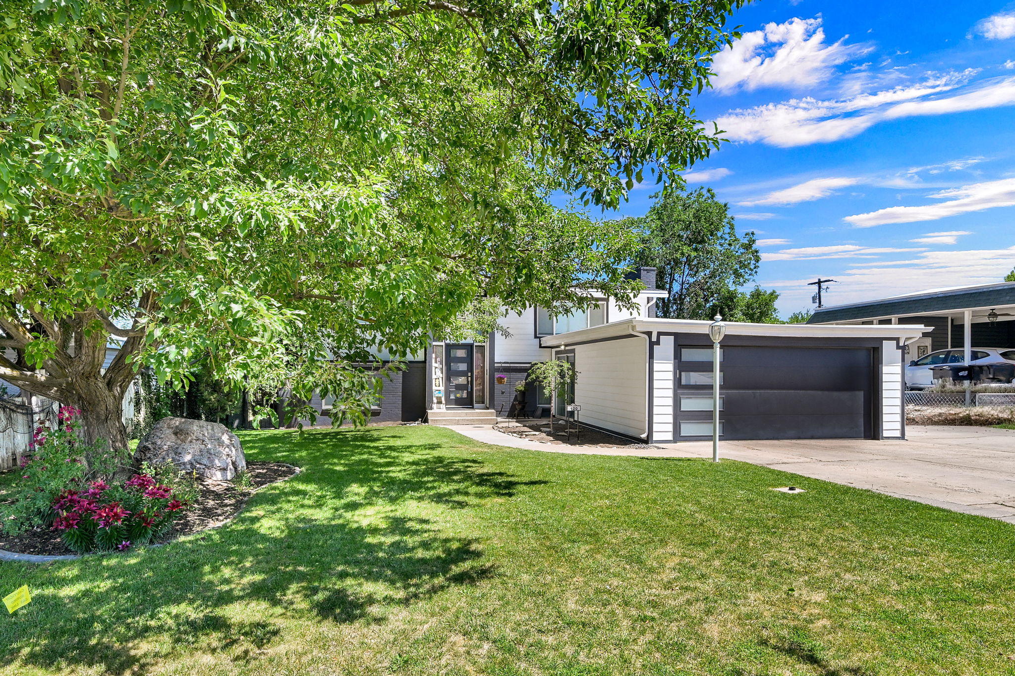 Lawn with mature shade tree, flowering shrubs, and stone accent