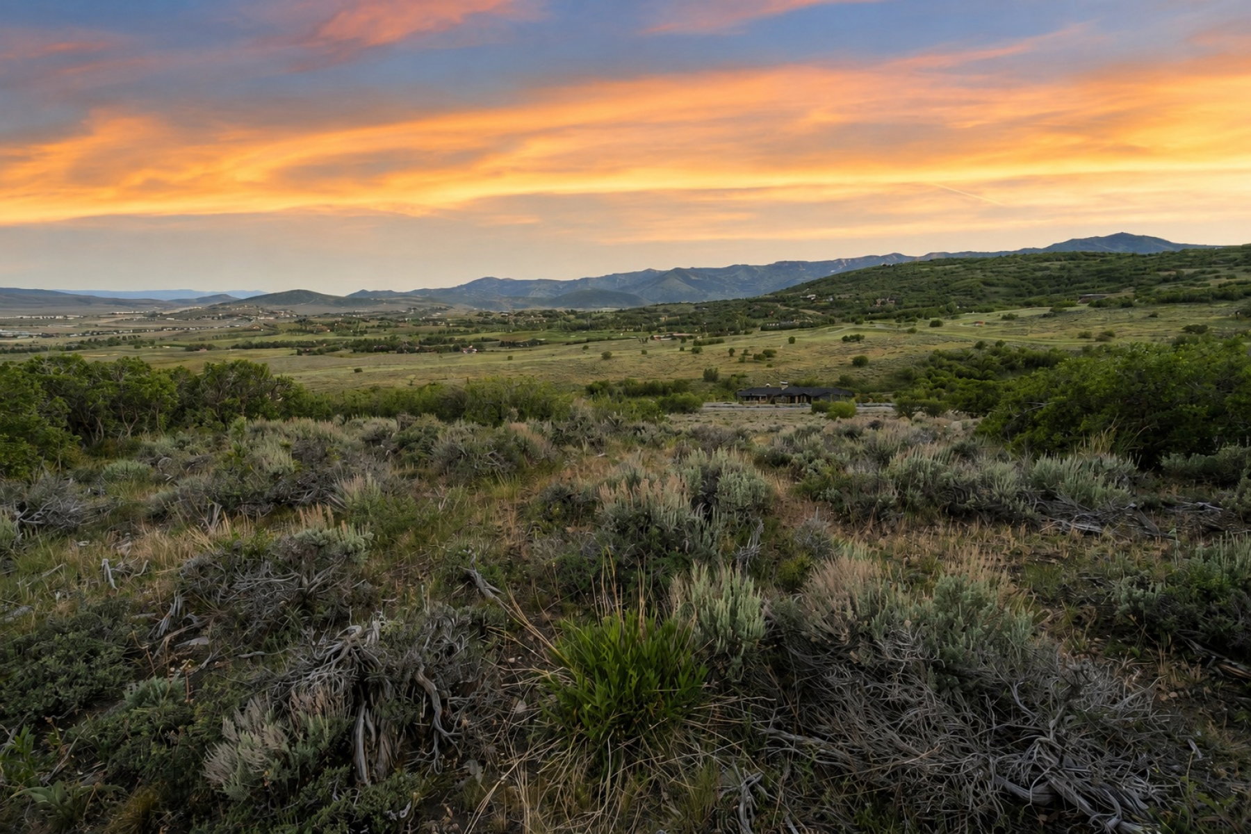 Expansive natural landscape with varied shrubbery and distant rolling hills