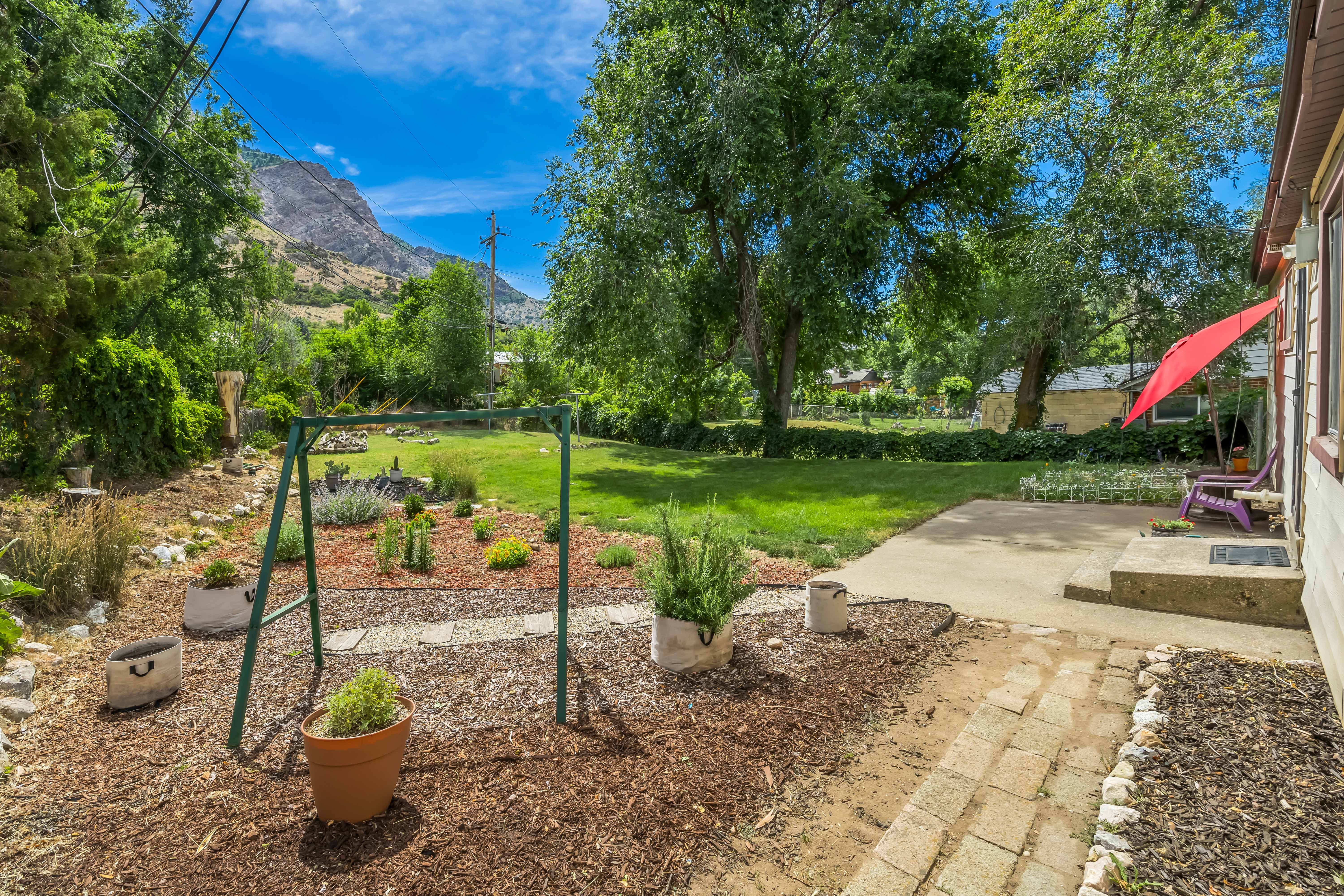 Expansive backyard featuring a concrete patio, mature trees, and a terraced garden area