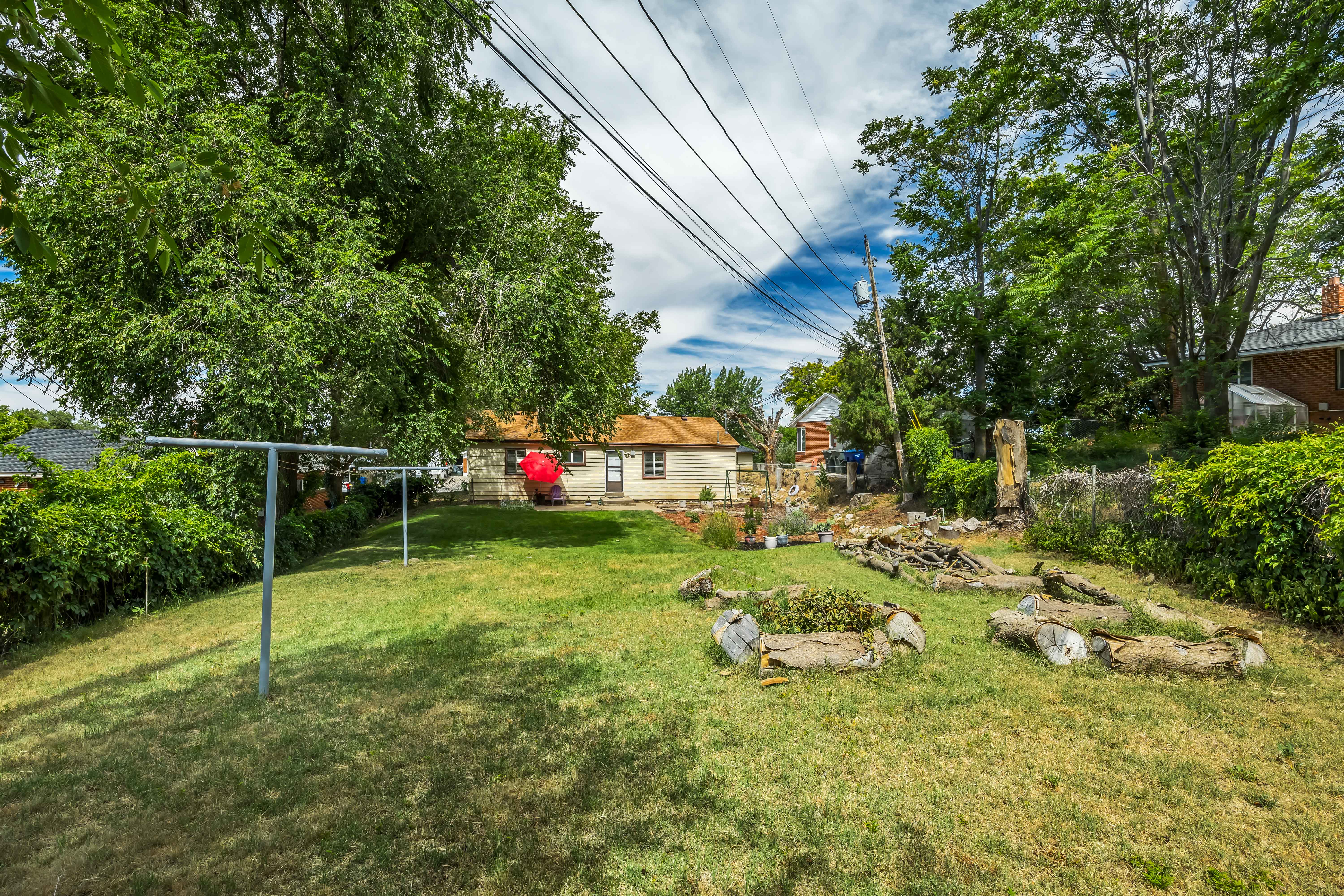Expansive backyard featuring a sloped lawn and mature trees