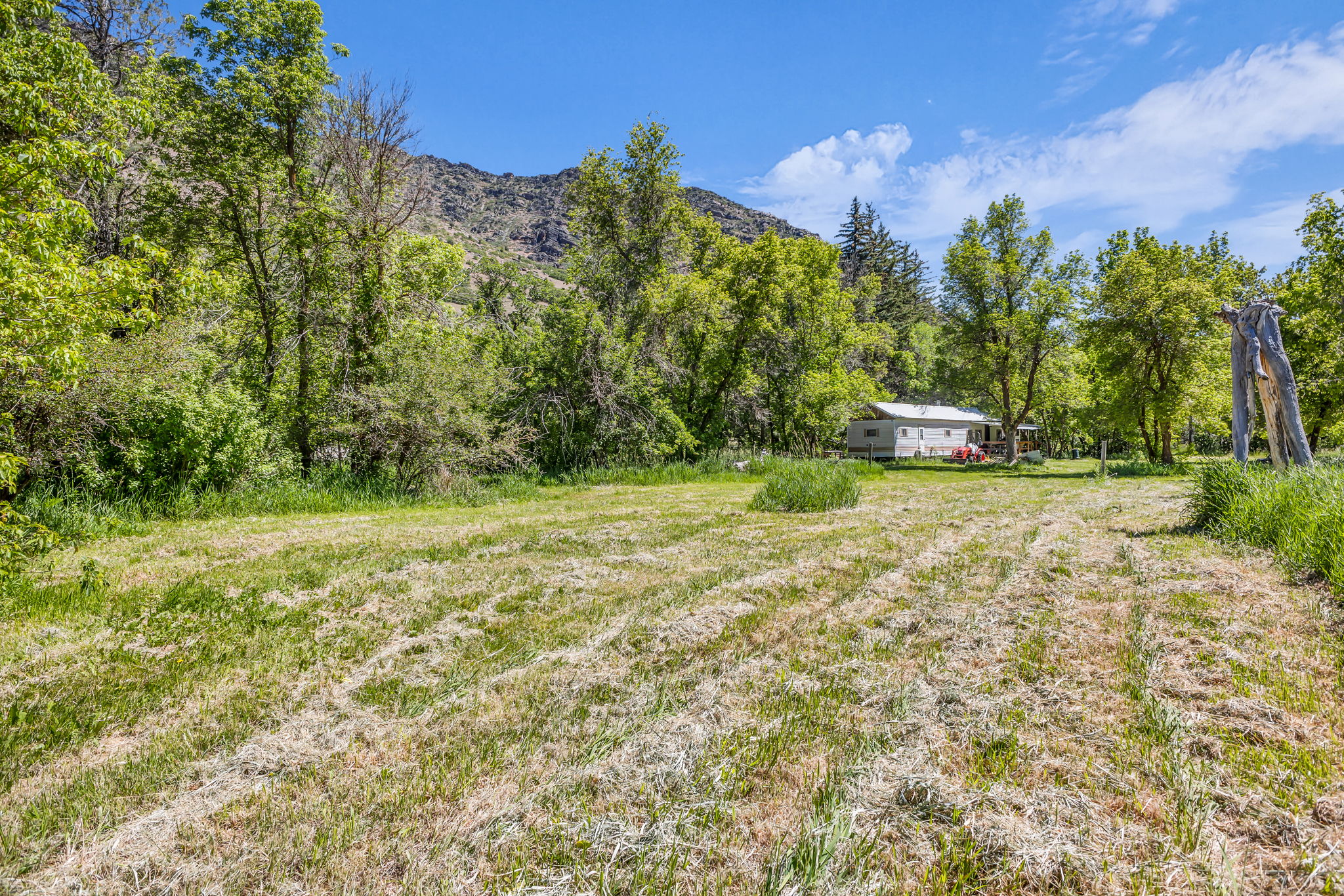 Expansive grassy field with a backdrop of mature trees and distant mountains, featuring a single-story residence with a covered porch