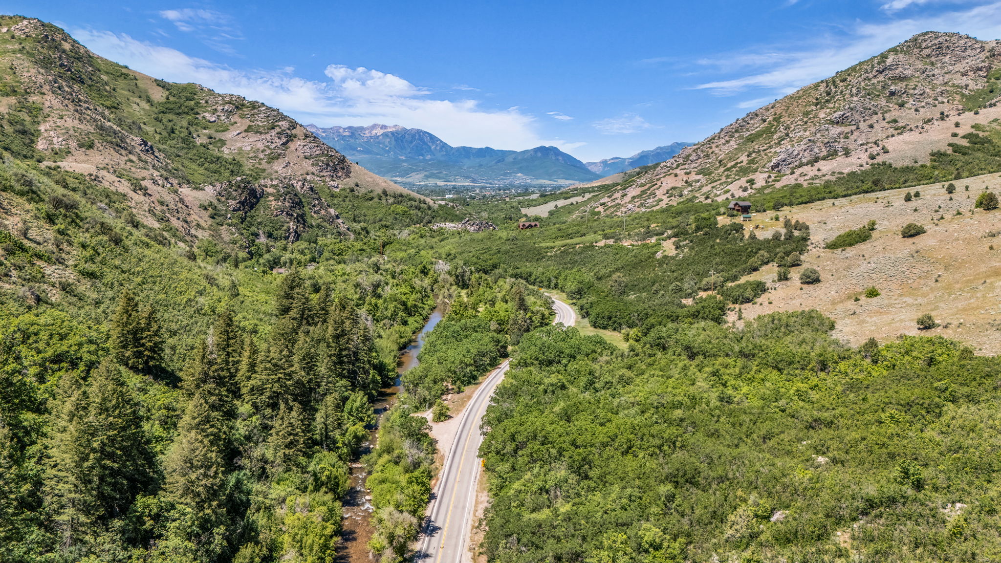 Mountainous terrain featuring extensive green foliage and a winding road