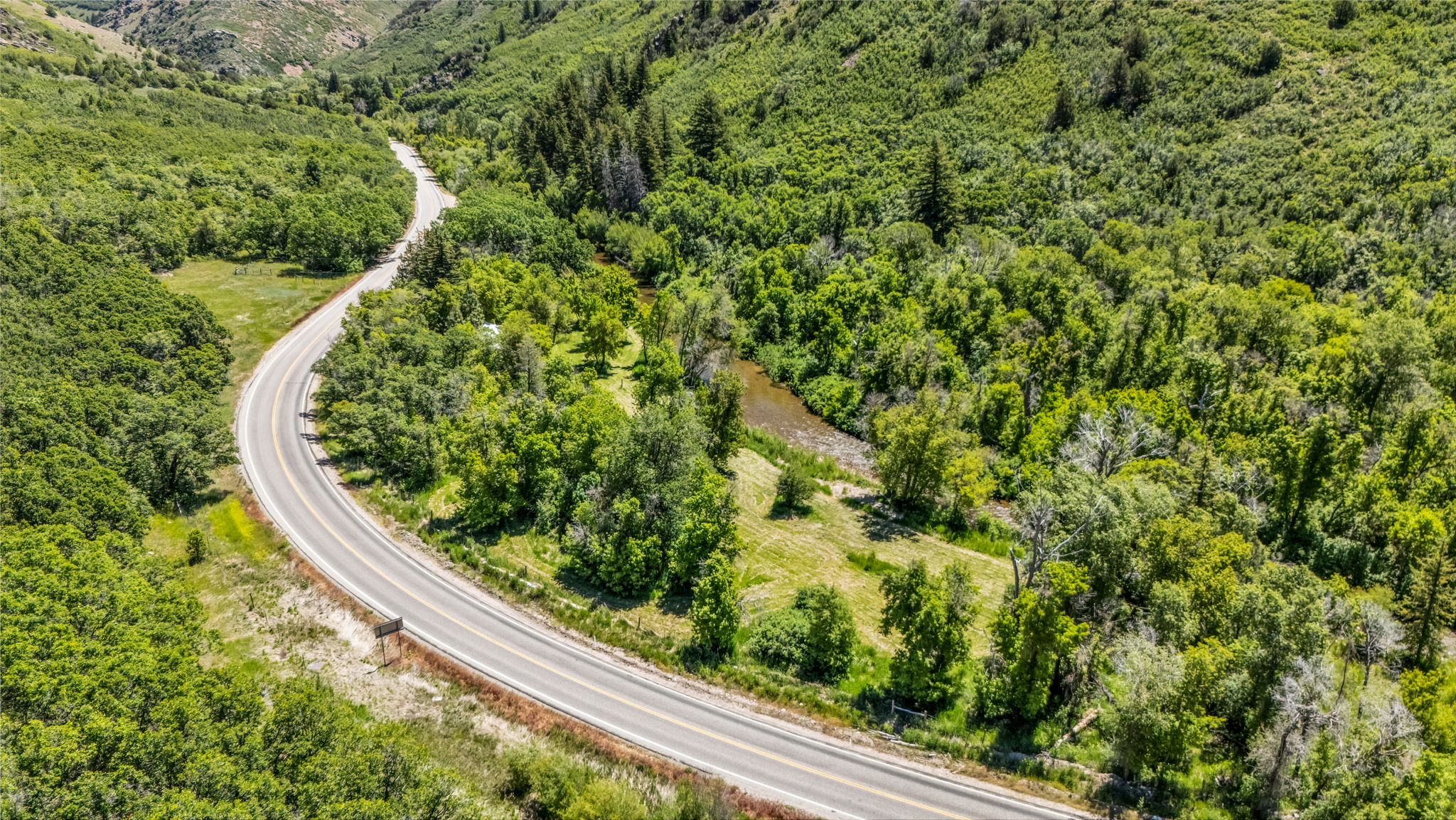 Winding paved road traversing a verdant, mountainous landscape with abundant mature trees and natural vegetation