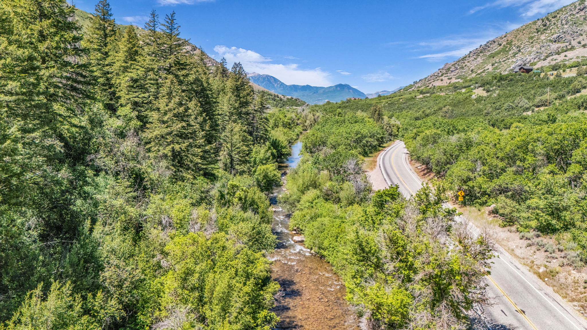 Winding road bordered by mature trees and a tranquil river