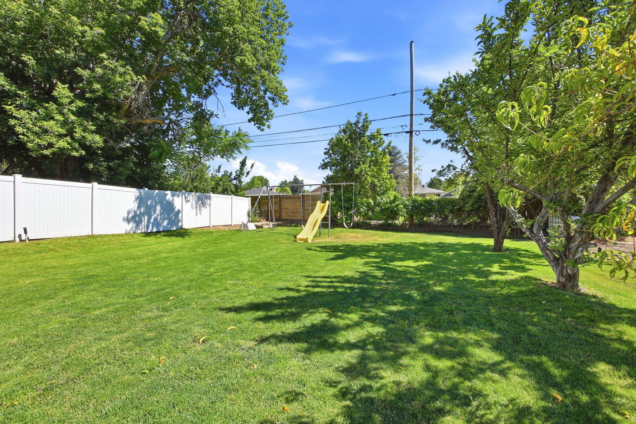Yard