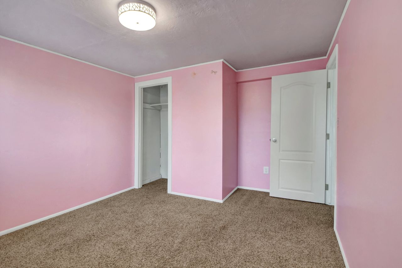 Basement bedroom - Carpeted room featuring a ceiling-mounted light fixture, an open closet, and a white paneled door.