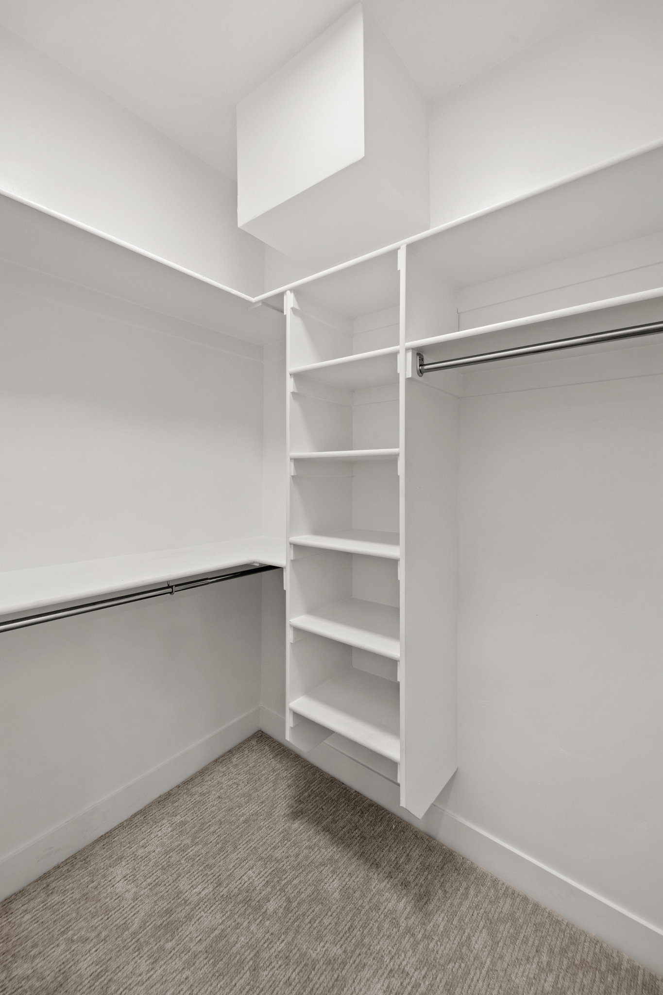 Walk-in closet featuring white built-in shelving, hanging rods, and textured carpet flooring