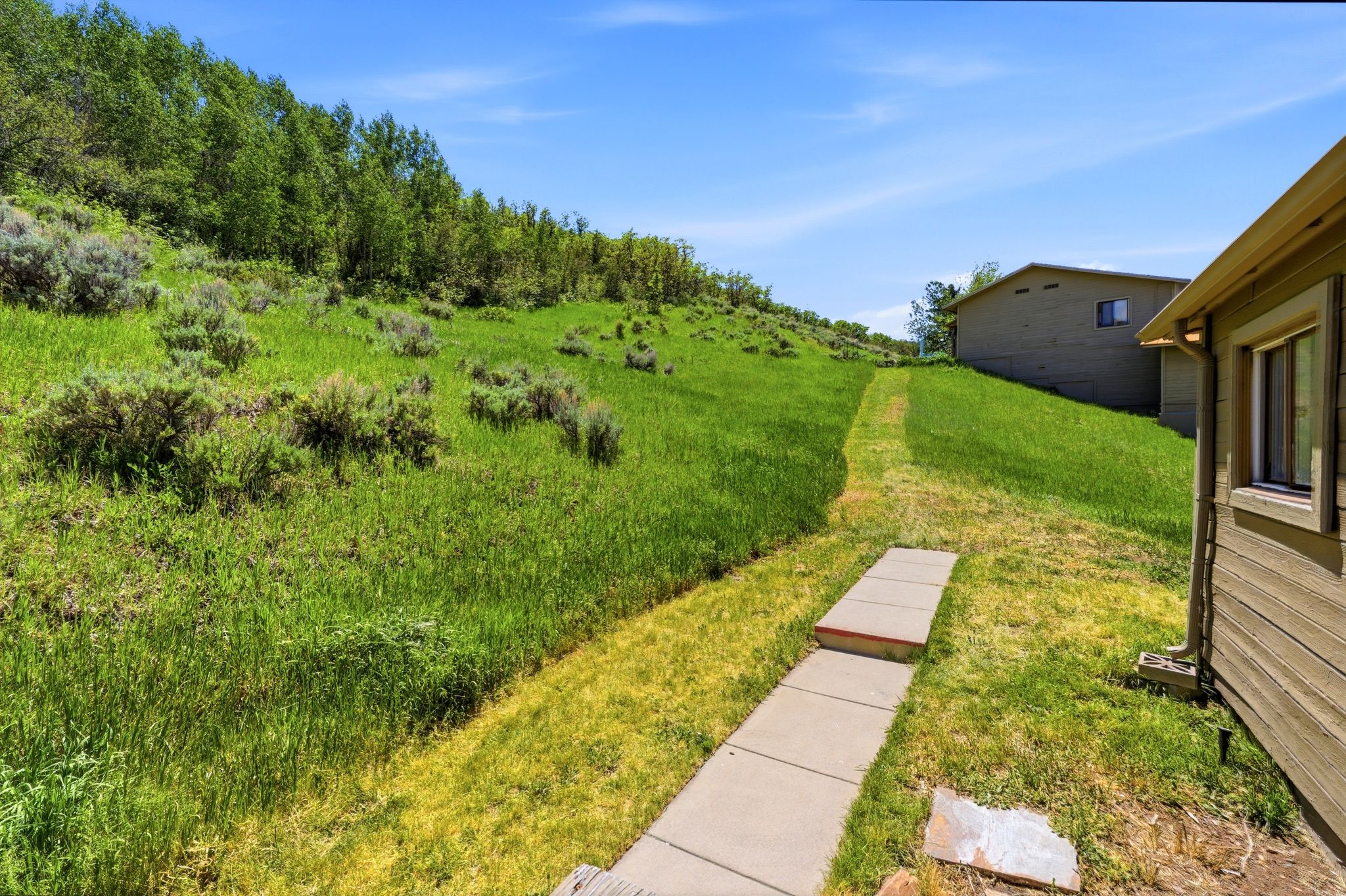 Expansive green hillside property featuring a concrete pathway and mature trees