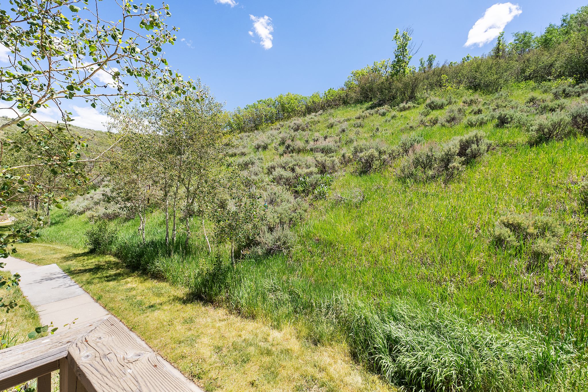 Terraced hillside landscaping featuring natural grasses and shrubbery