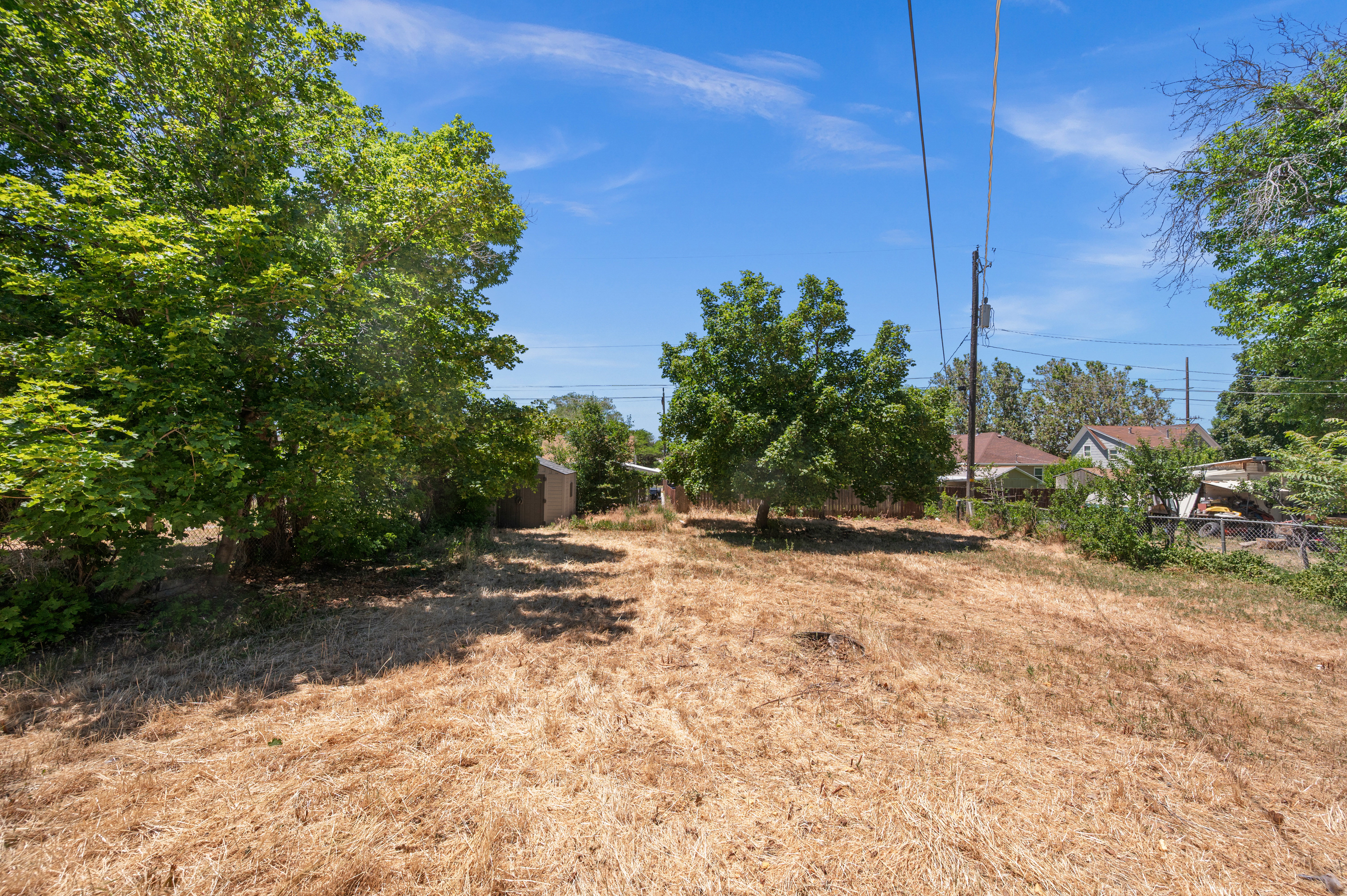 Expansive lot featuring mature trees and a detached shed