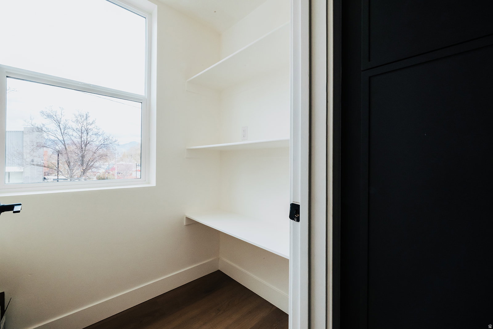 Walk-in pantry featuring built-in shelving, a large window, dark wood-finish flooring, and a black paneled door