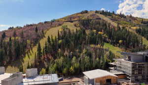 Mountain view