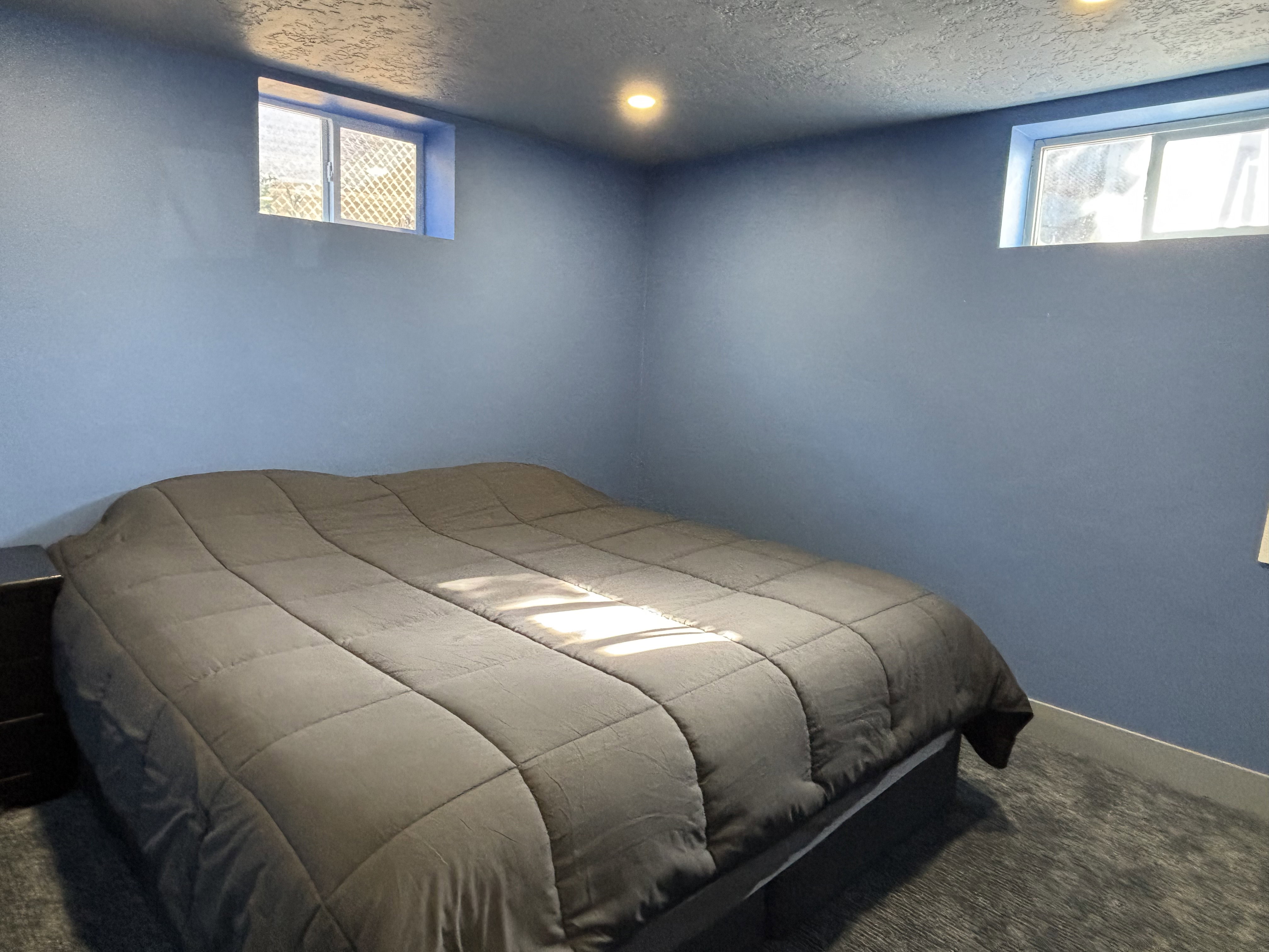 Carpeted room featuring blue painted walls and two rectangular windows with white frames