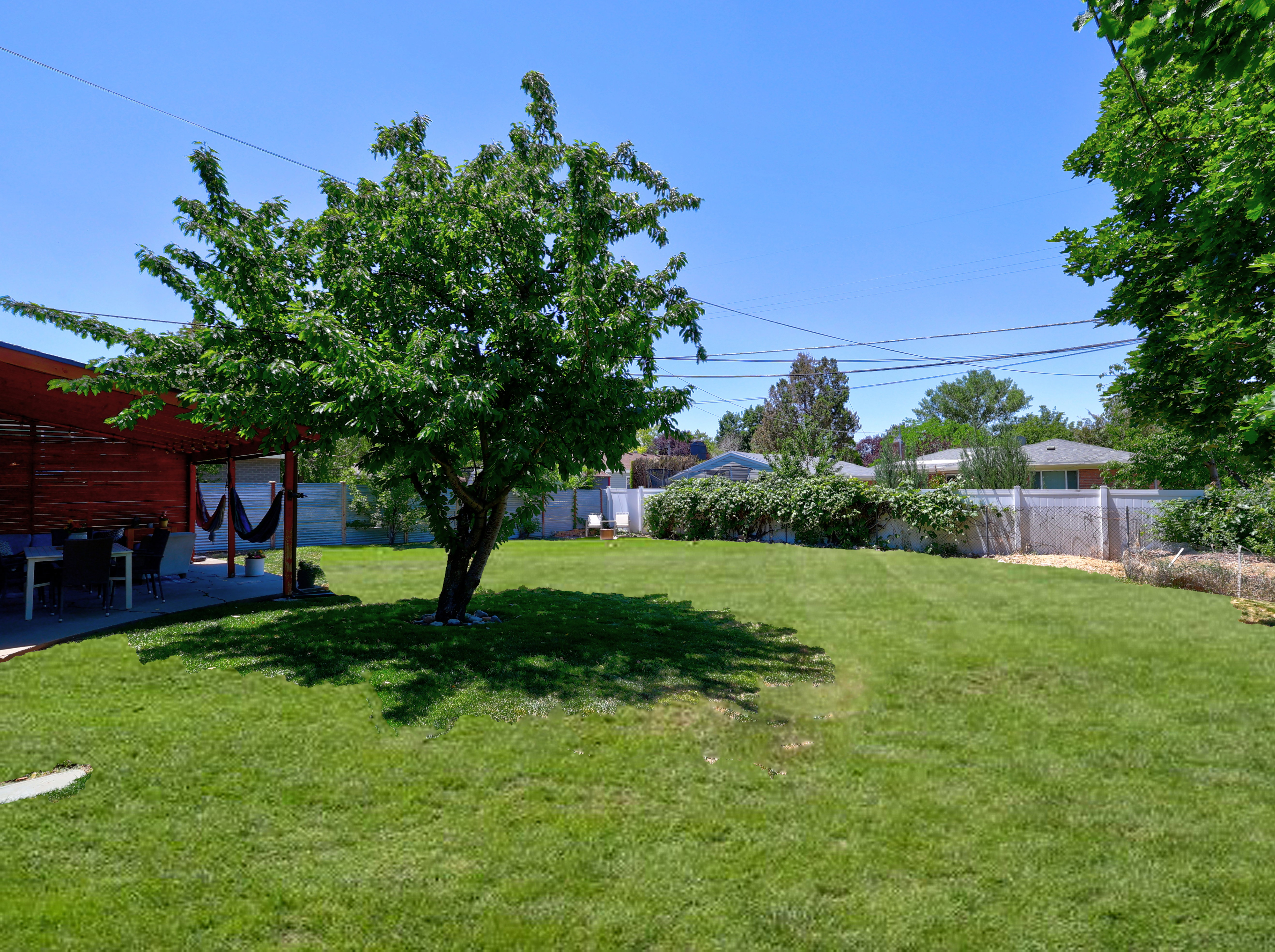 Expansive green lawn featuring a mature tree