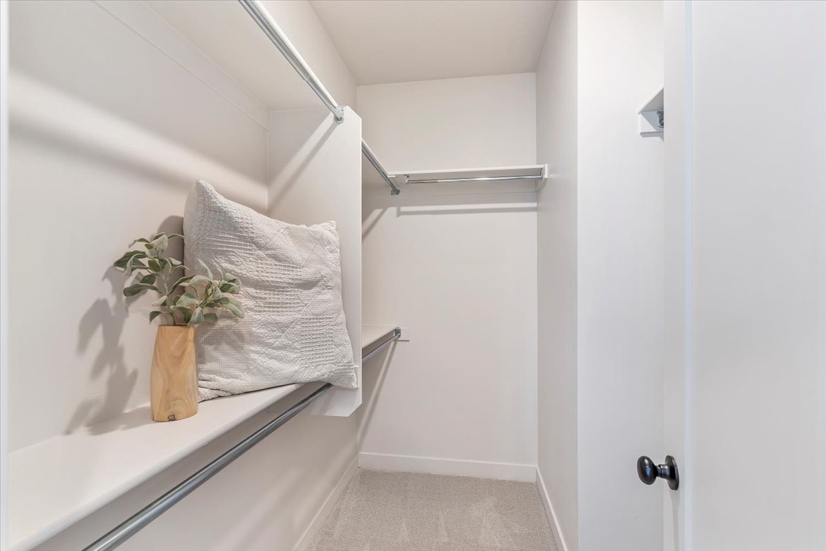 Walk-in closet featuring light gray carpet, white shelving, and chrome hanging rods