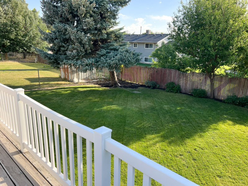 Expansive backyard featuring a large manicured lawn, mature trees, and a wooden privacy fence
