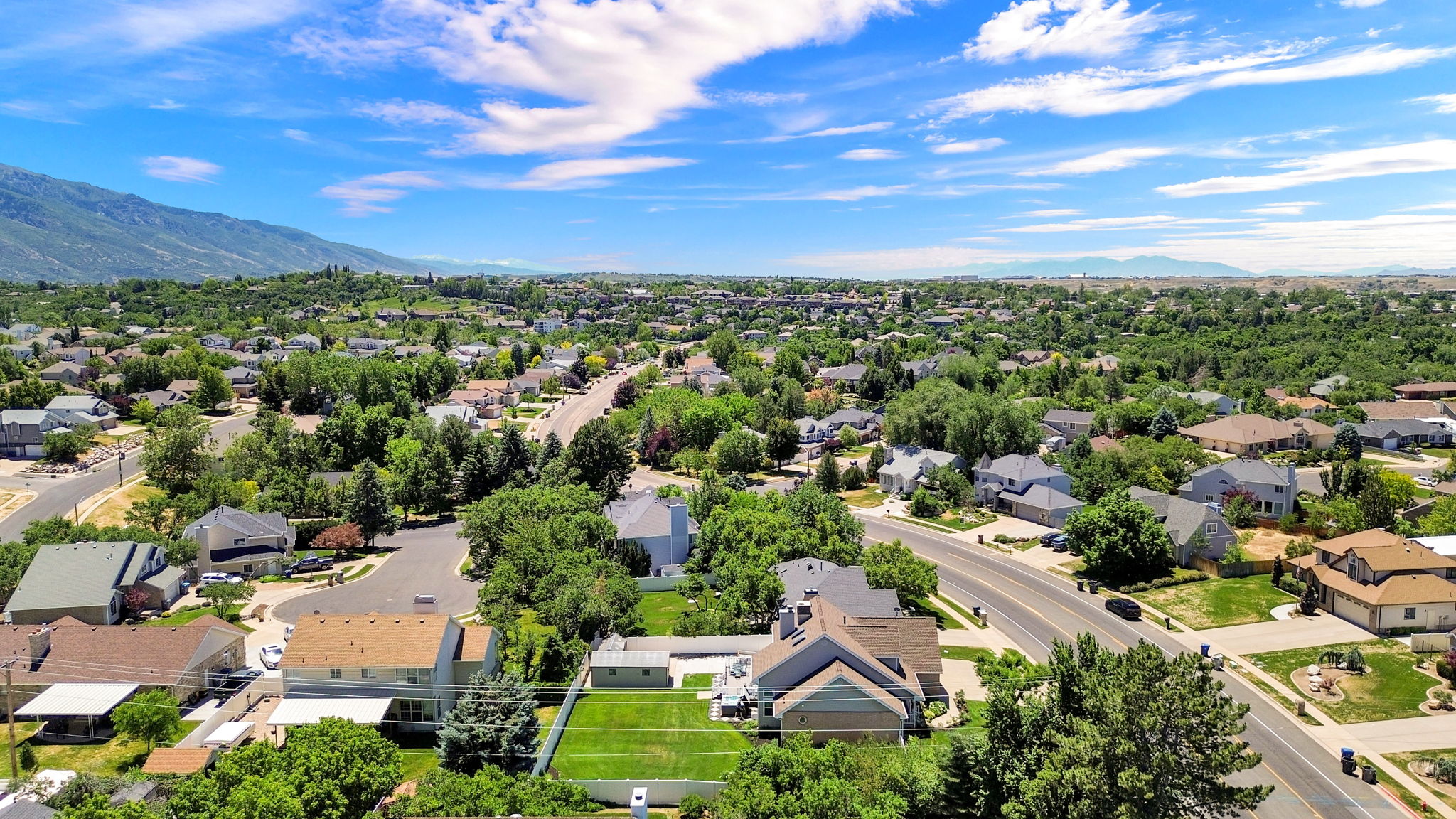 Sprawling residential landscape featuring mature trees, diverse custom architectural style homes, and distant mountain ranges