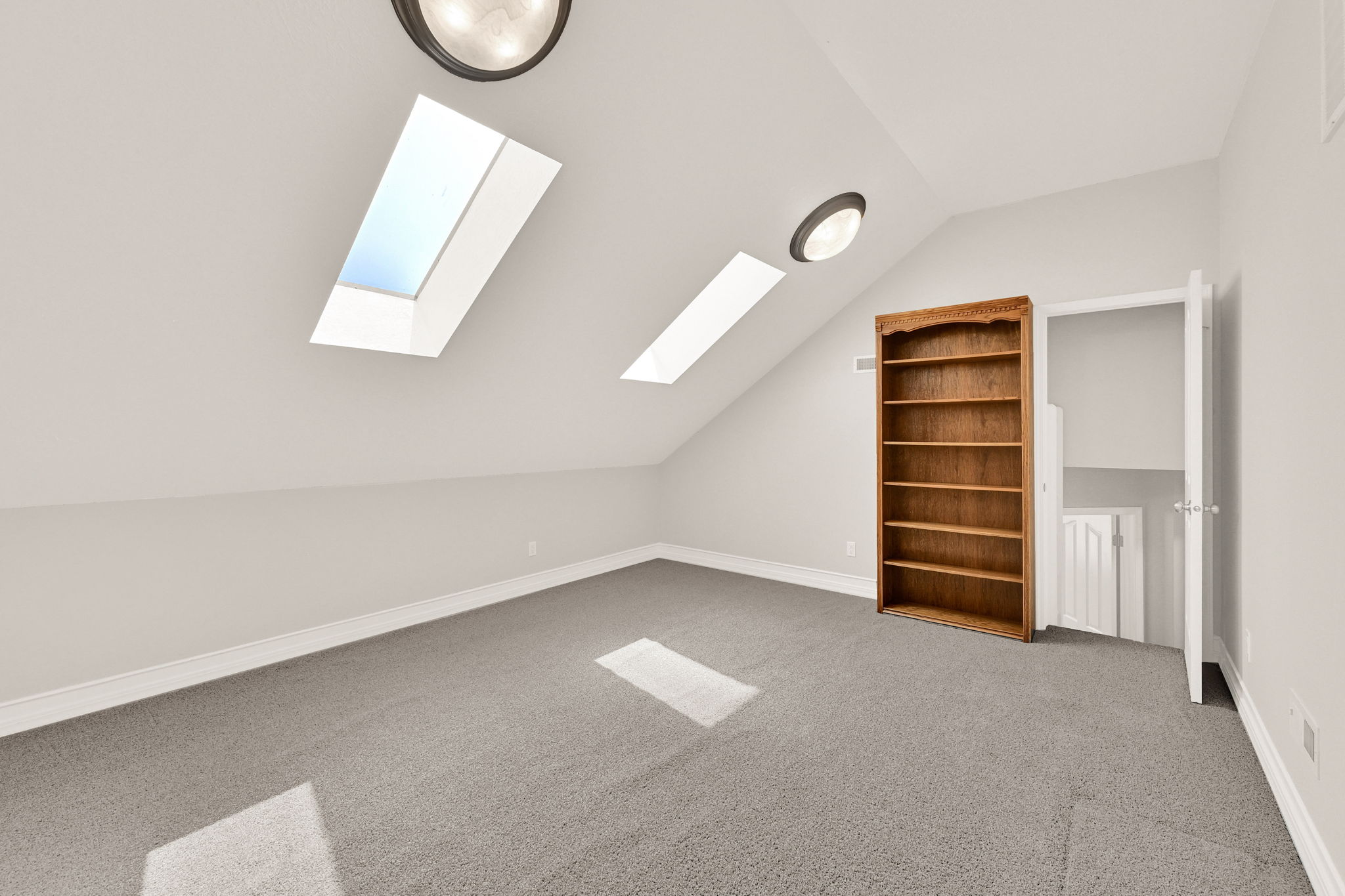 Mutipurpose room carpeted interior space featuring an angled ceiling, two skylights, two flush-mount ceiling lights, and an open doorway revealing interior access via ladder