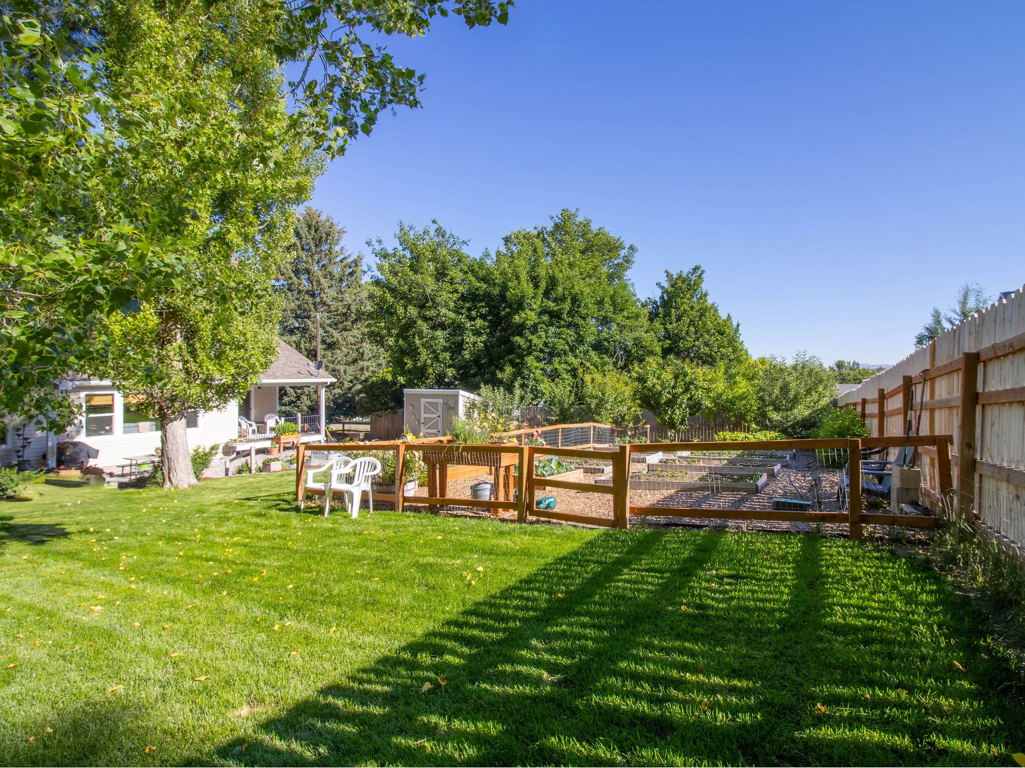 Expansive backyard featuring a manicured lawn, a fenced garden area, and a privacy fence
