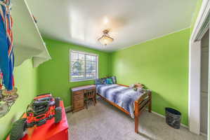 Bright room featuring light green walls, a window with exterior views, and a ceiling-mounted light fixture