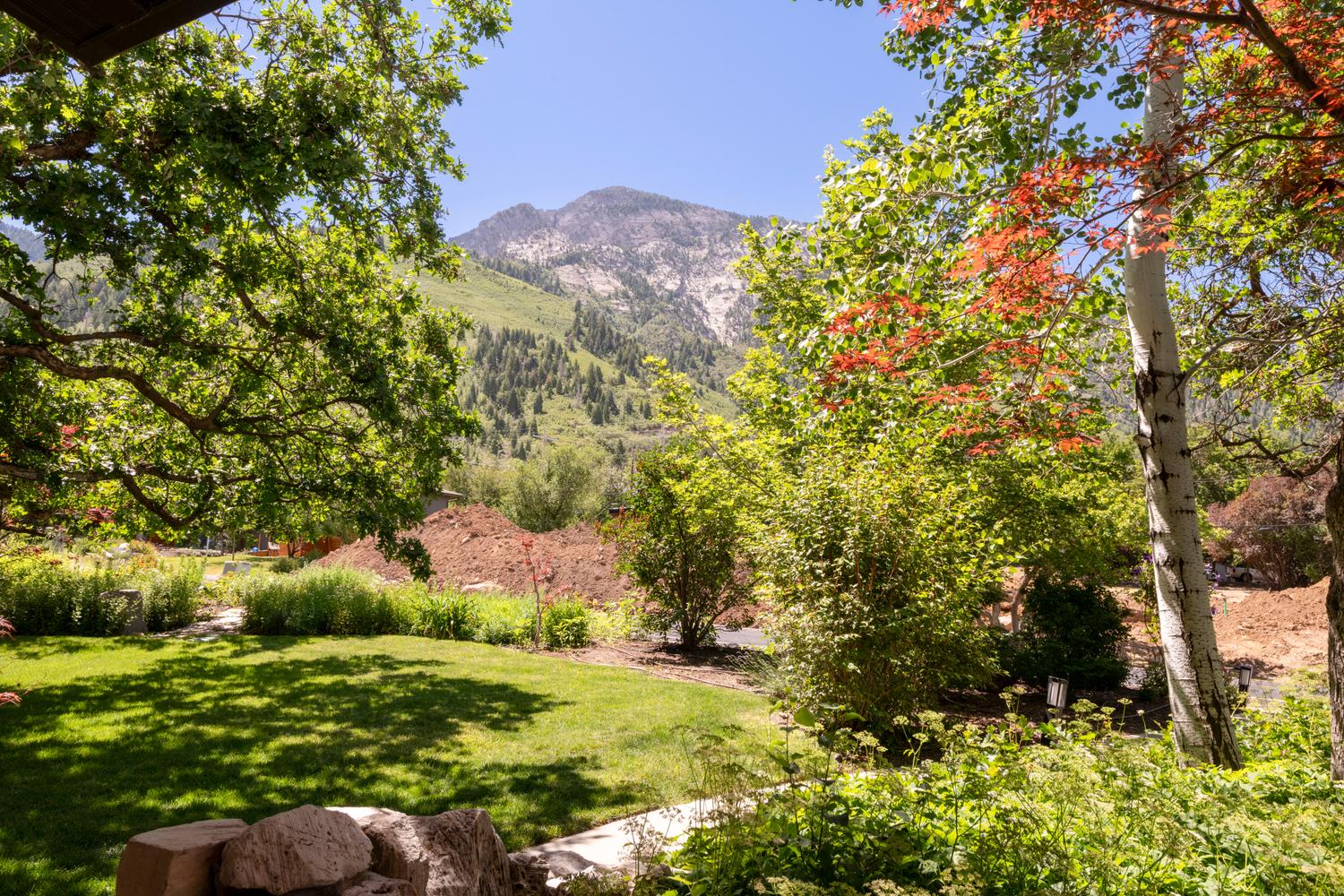 Expansive green lawn with mature trees and foliage