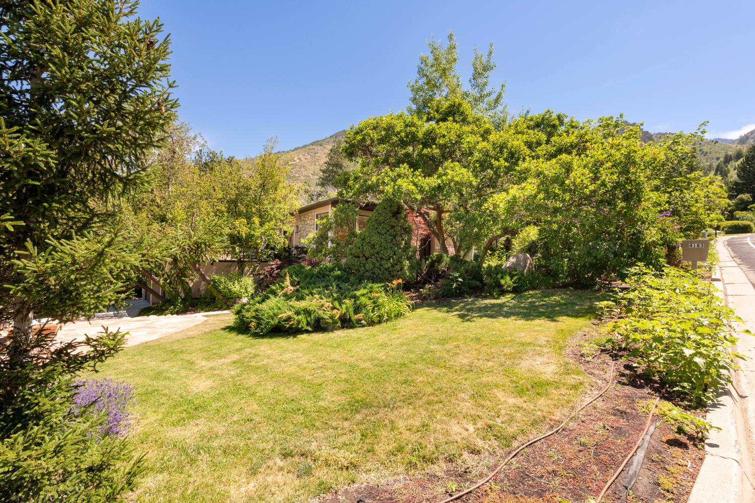 Front yard featuring mature trees, diverse shrubbery, a manicured lawn, and a paved driveway