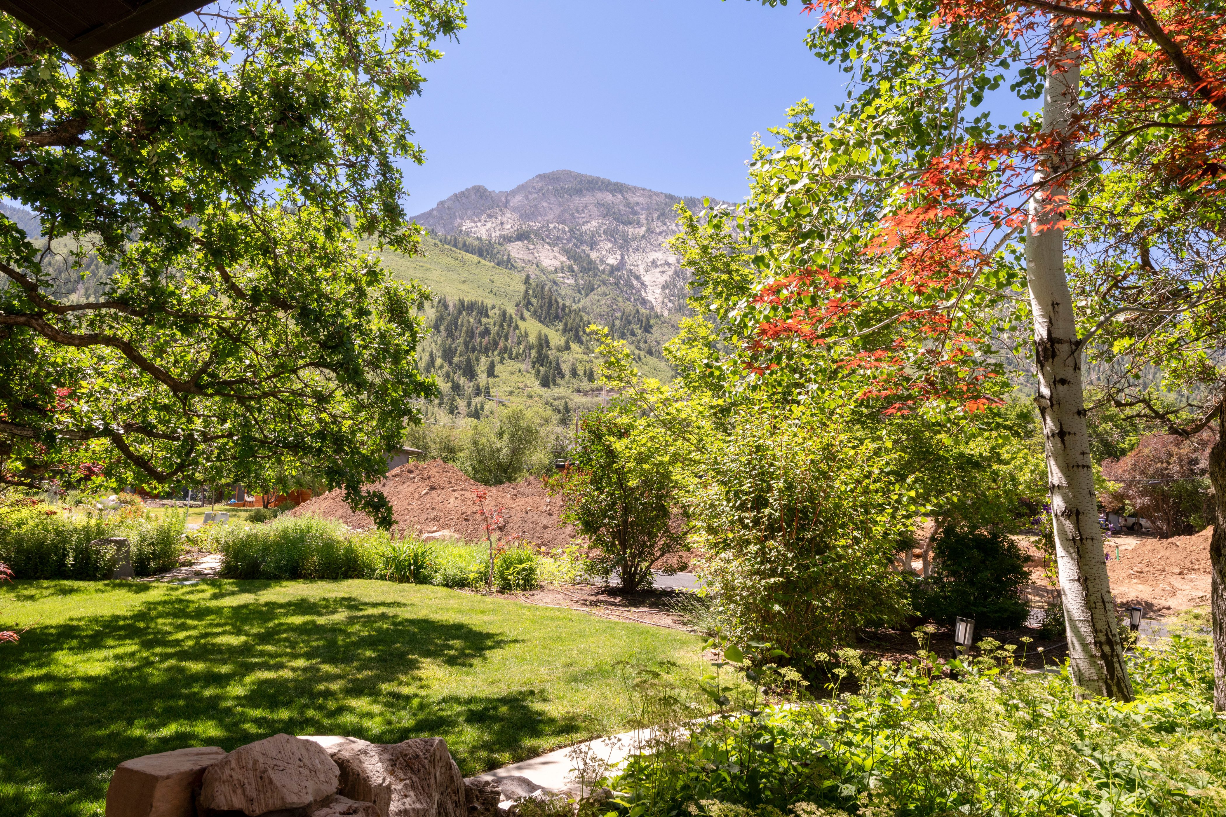 Expansive backyard featuring a manicured lawn, established trees, and mature landscaping