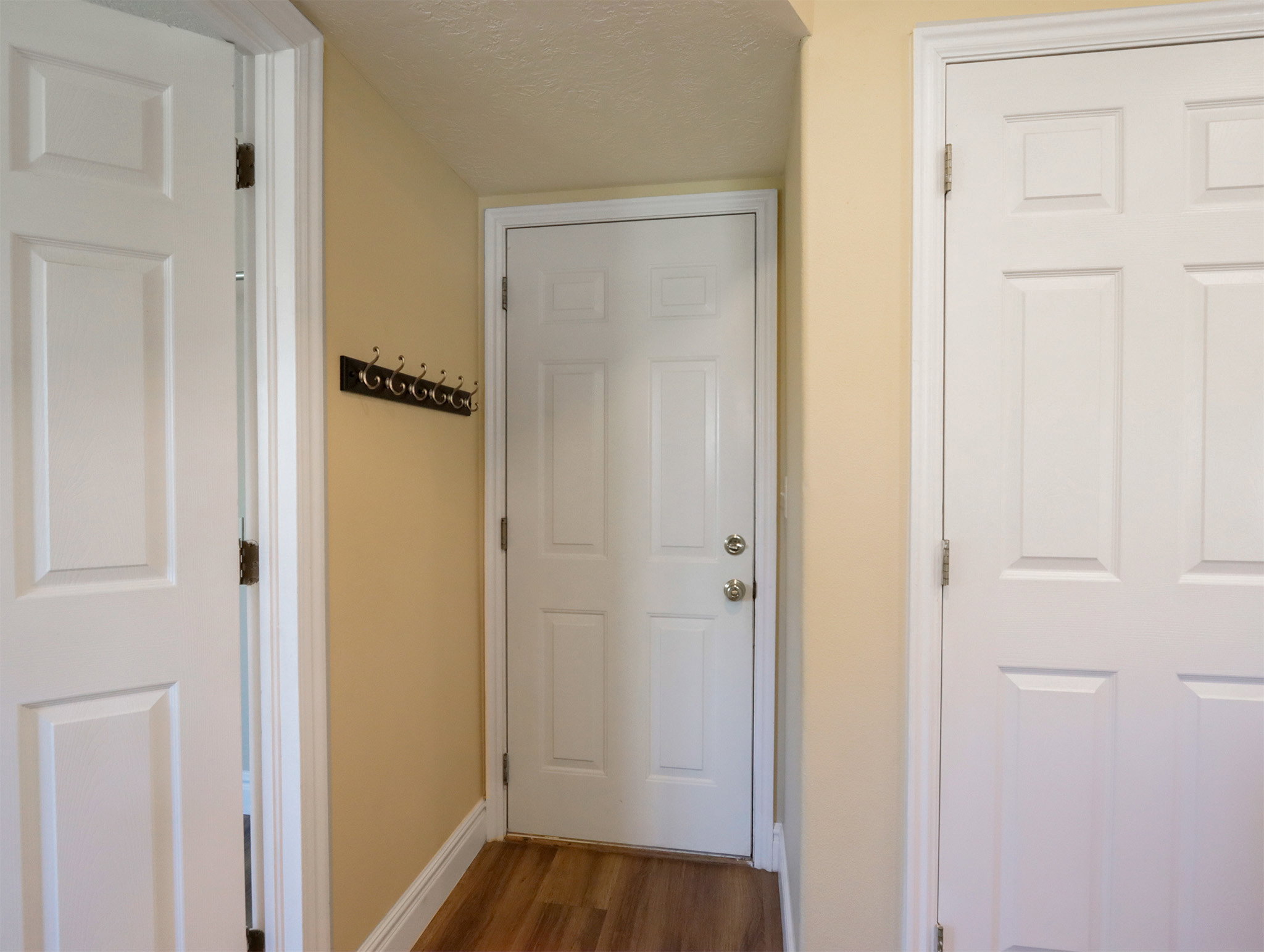 Entryway featuring wood-finish flooring, light-colored walls, and multiple panel doors