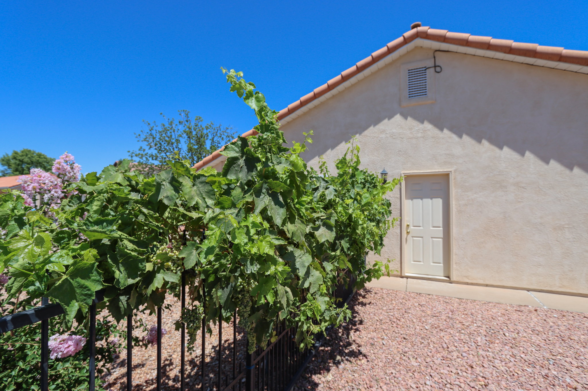 Exterior stucco siding with a tile roofline and a panel-style door