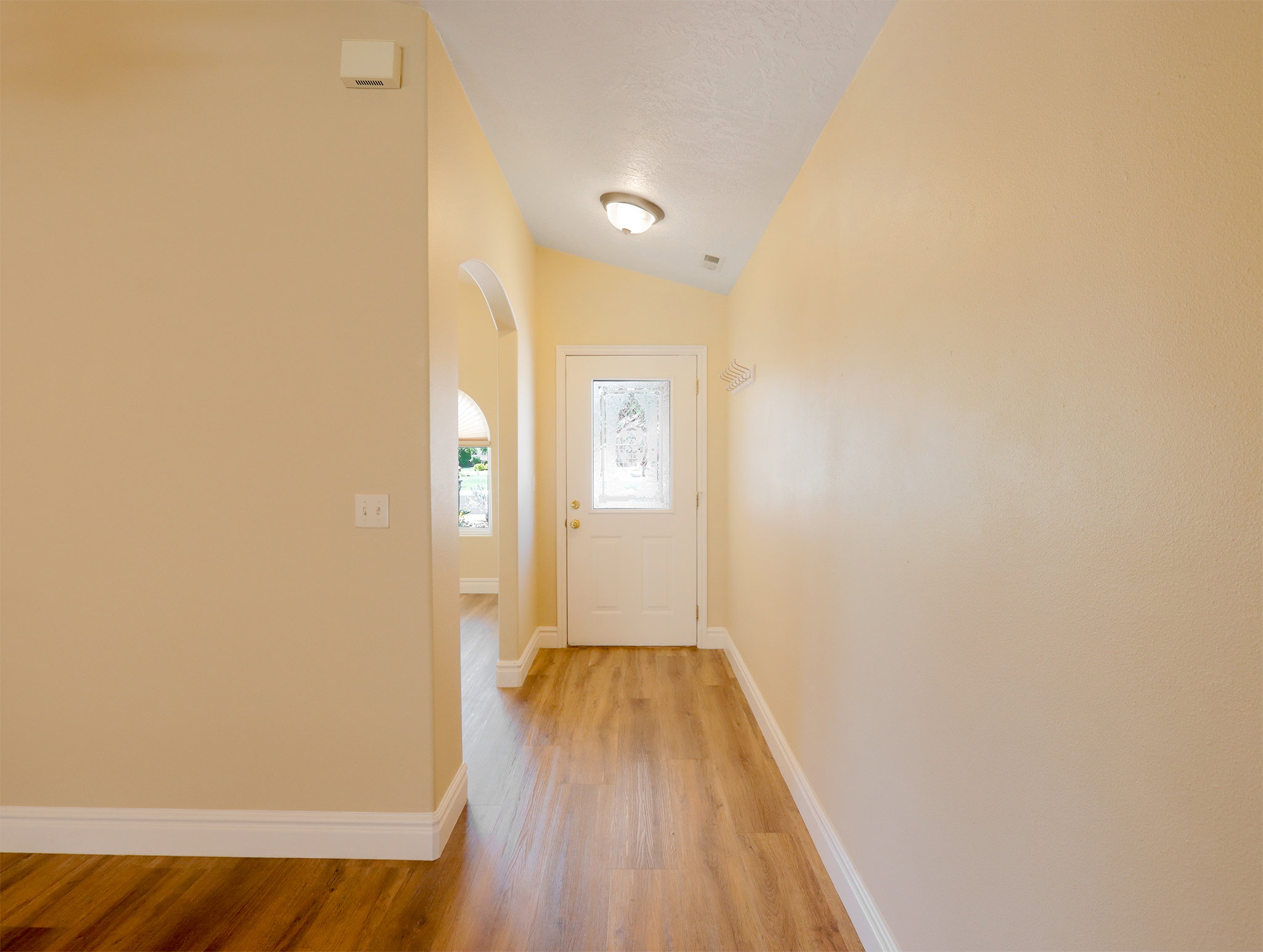 Entryway featuring wood-finish flooring, light-toned walls, a white-framed door with a glass pane, and an arched doorway leading to an interior space