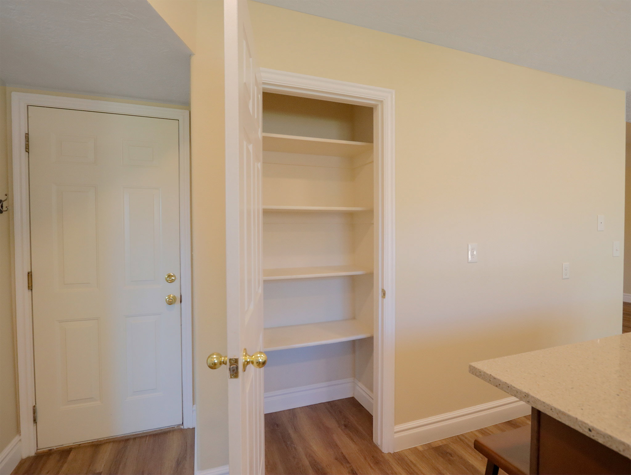 Built-in pantry with multiple shelves, wood-finish flooring, and light-toned walls