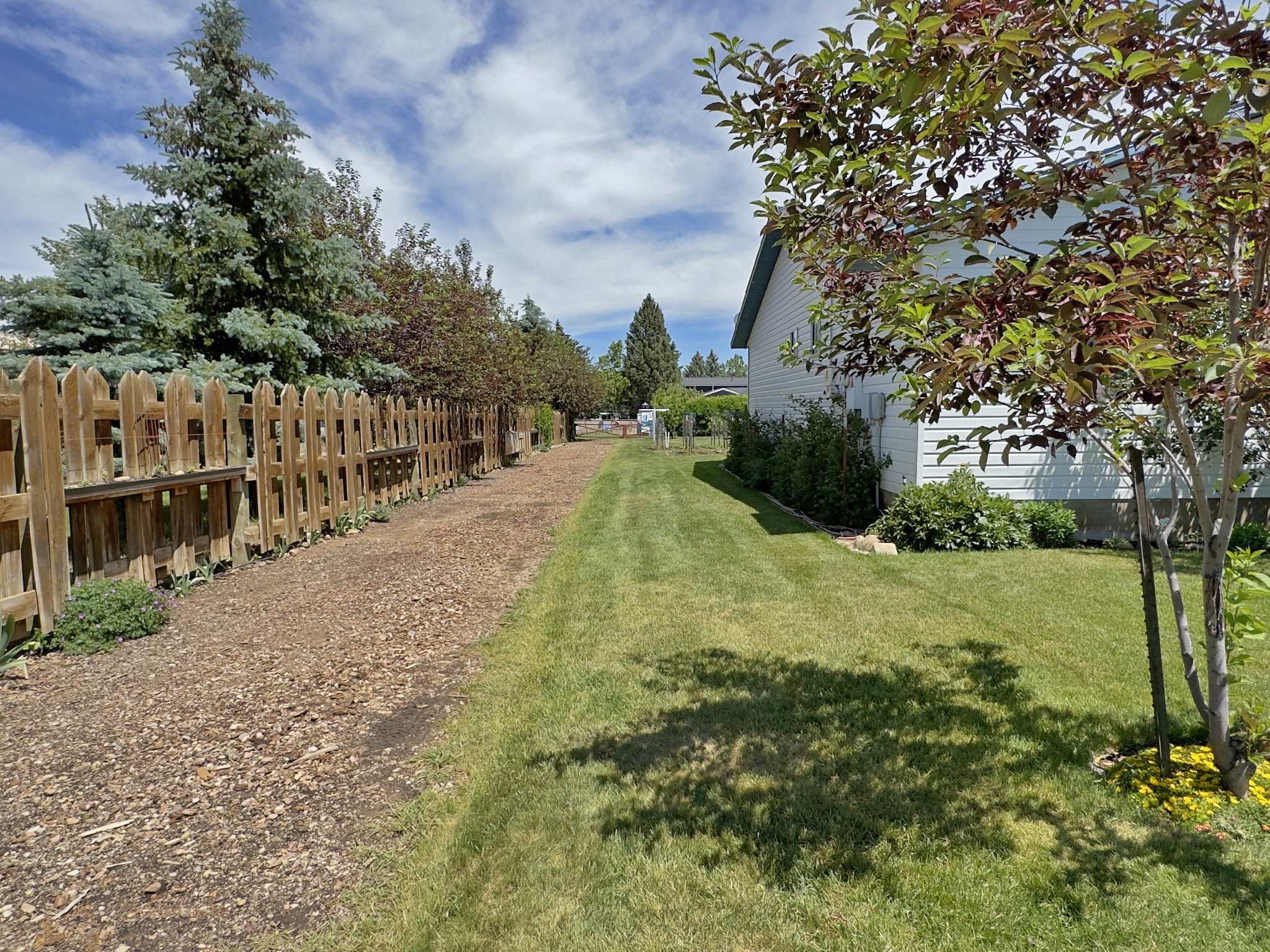 Expansive side yard featuring a long stretch of green lawn, a wooden picket fence, mature trees, and a gravel pathway