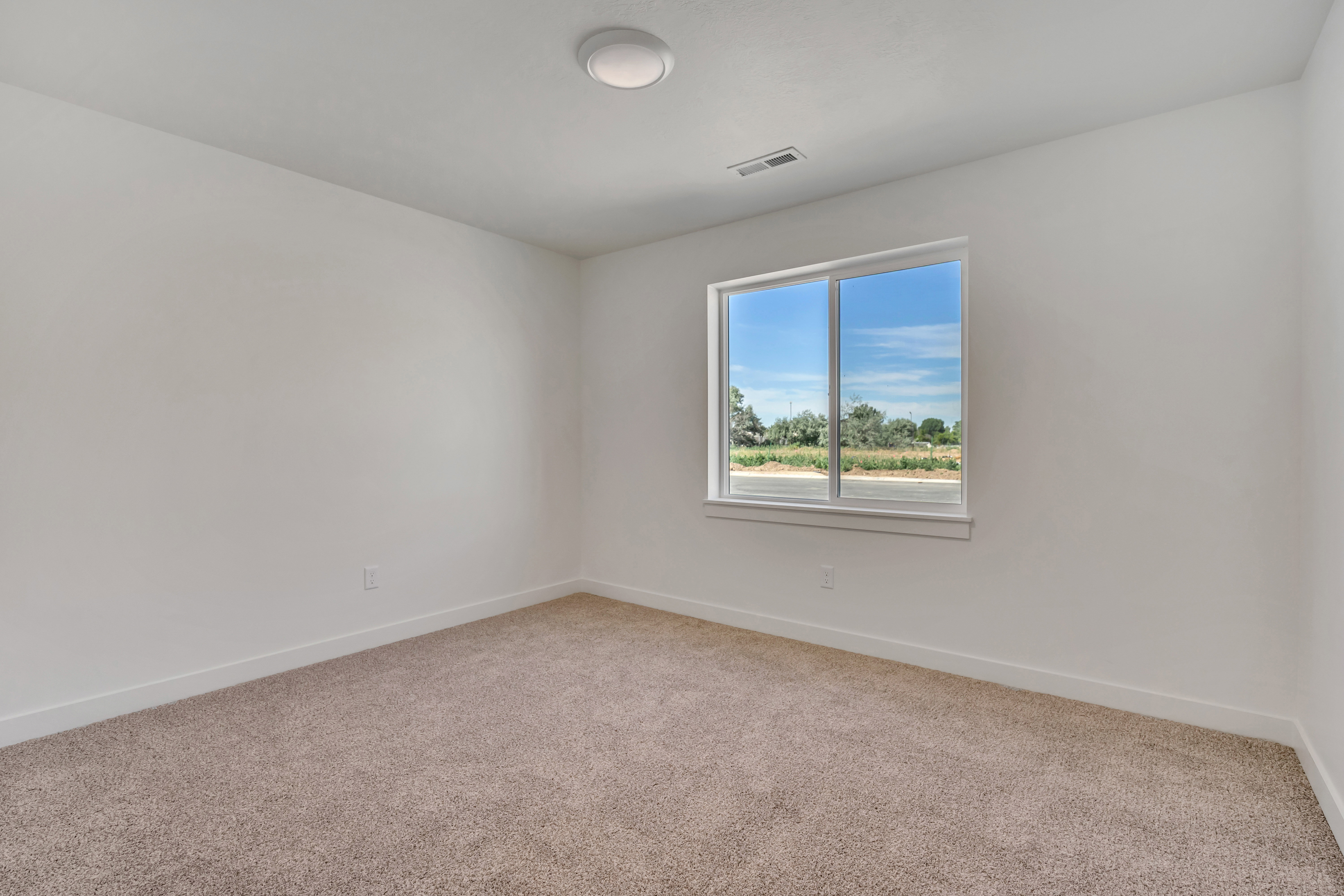 Bright room featuring a large window, neutral carpet, white walls, and a ceiling-mounted light fixture