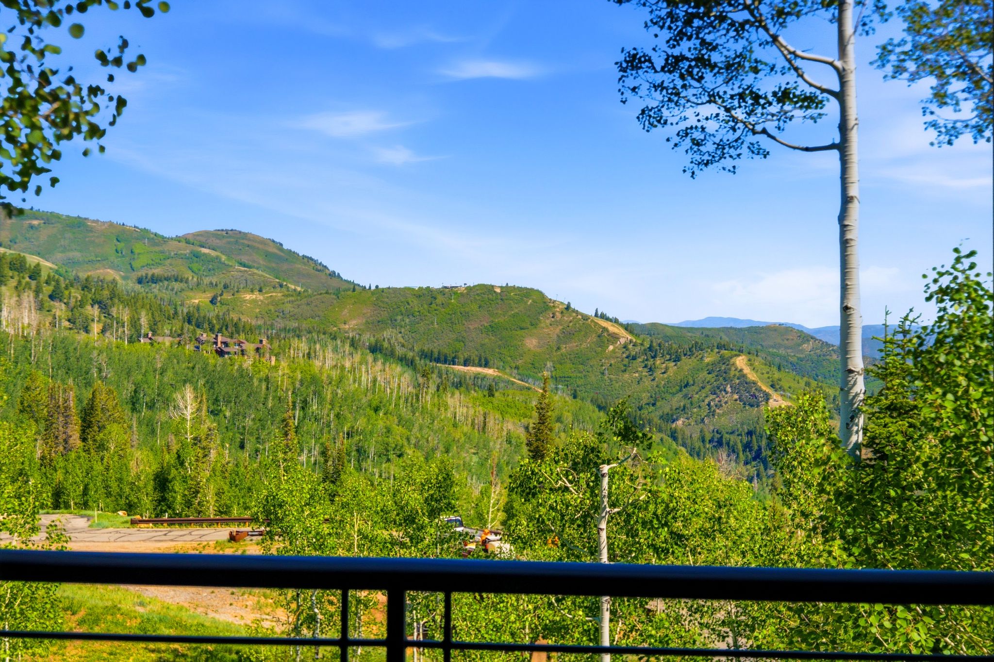 Expansive mountain landscape with diverse tree coverage, including prominent aspen trees