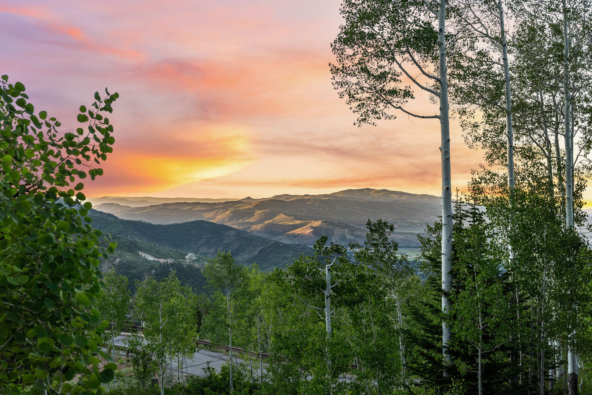 Expansive mountain scenery with a vibrant sunset backdrop, featuring mature aspen and evergreen trees
