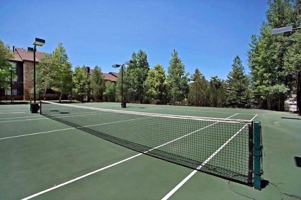 Tennis court with a green playing surface, white demarcation lines, and a black net