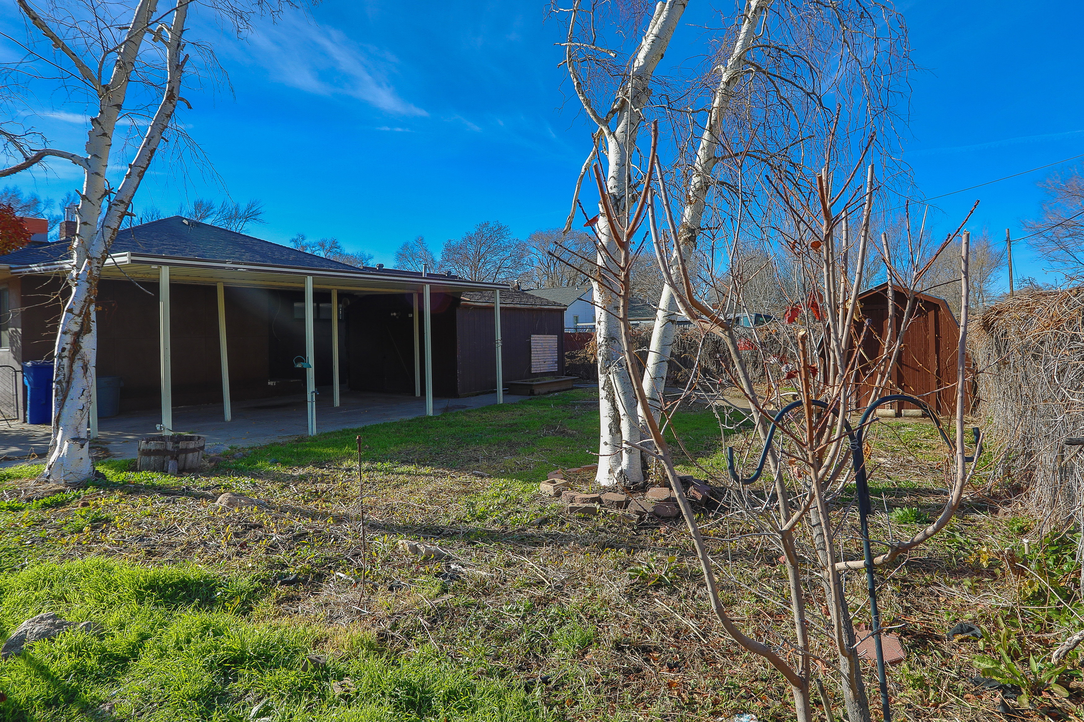 Expansive backyard featuring a covered patio, a detached storage shed, and mature trees