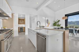 Modern kitchen featuring an expansive island with an integrated sink and dishwasher, a professional-grade stainless steel range, and high vaulted ceilings