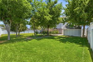 Expansive grassy yard with mature trees and a white privacy fence