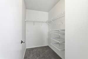 Walk-in closet featuring built-in wire shelving and integrated wire storage baskets