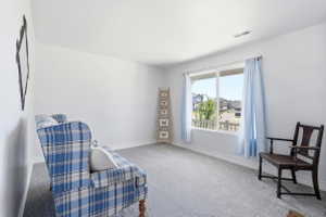 Carpeted room with a large window featuring white trim and blue curtains