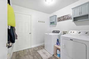 Dedicated laundry room featuring wood-finish flooring, white walls, and built-in gray cabinetry