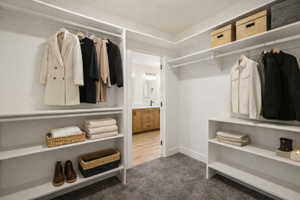 Walk-in closet with extensive built-in shelving, multiple hanging rods, and plush gray carpeting