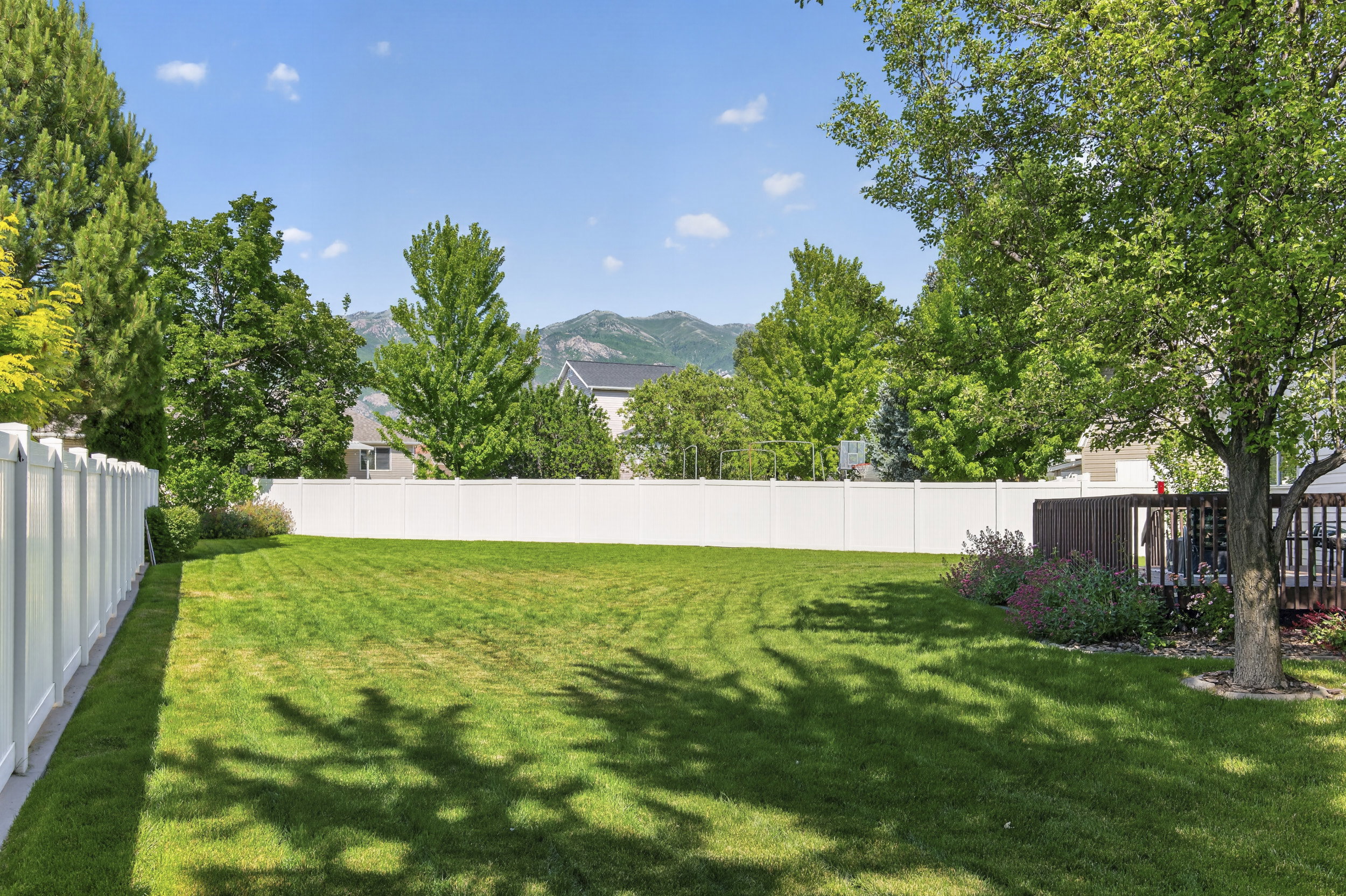 Spacious backyard featuring a manicured lawn, a full white privacy fence, a multi-level wooden deck, and mature perimeter trees