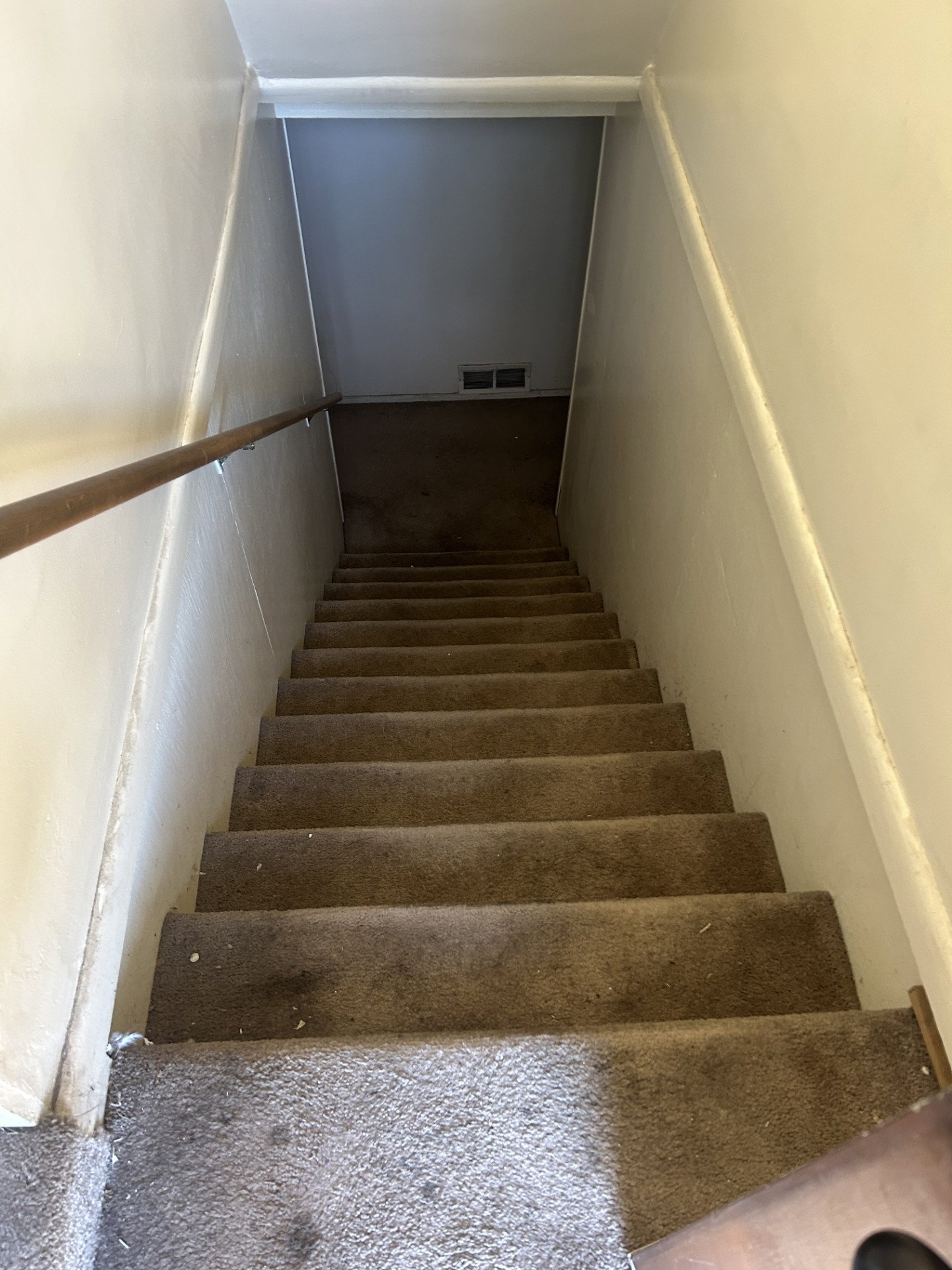 Carpeted staircase with a wood handrail