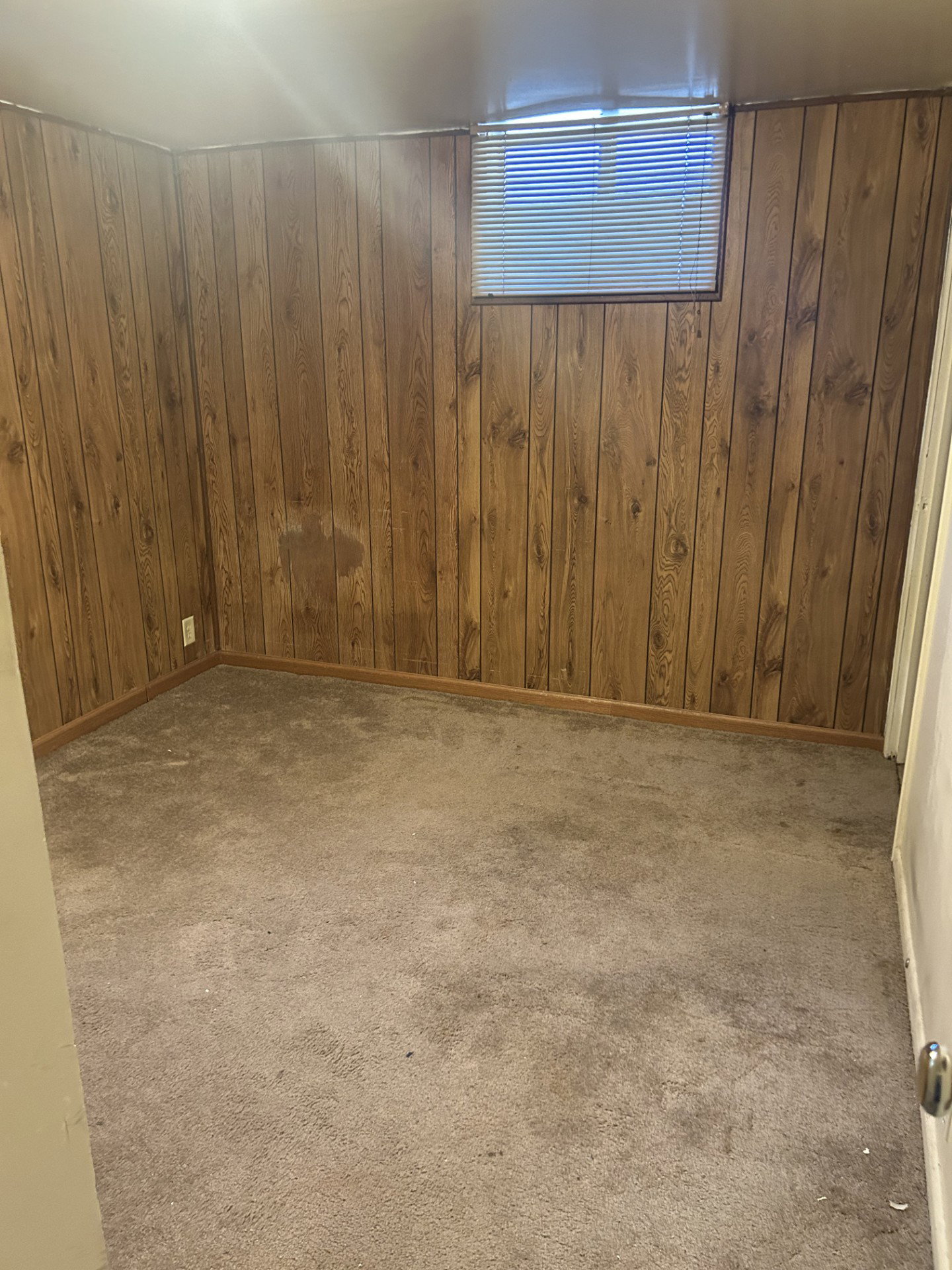 Room featuring paneled walls, carpet flooring, a single window with blinds, and a light-colored ceiling