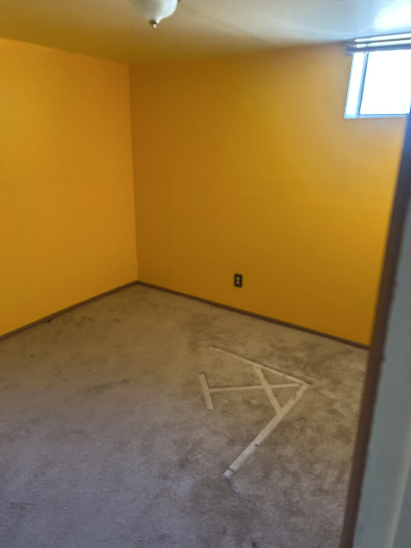 Interior room featuring a single window, a ceiling-mounted light fixture, and wall-to-wall carpeting