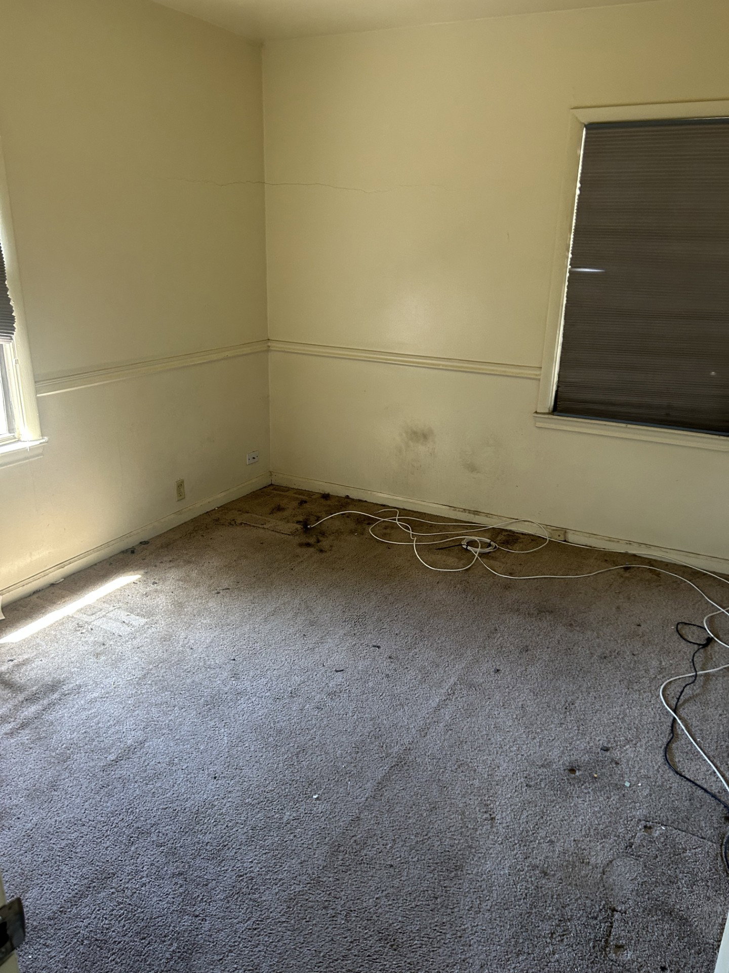 Carpeted room with two windows featuring horizontal blinds
