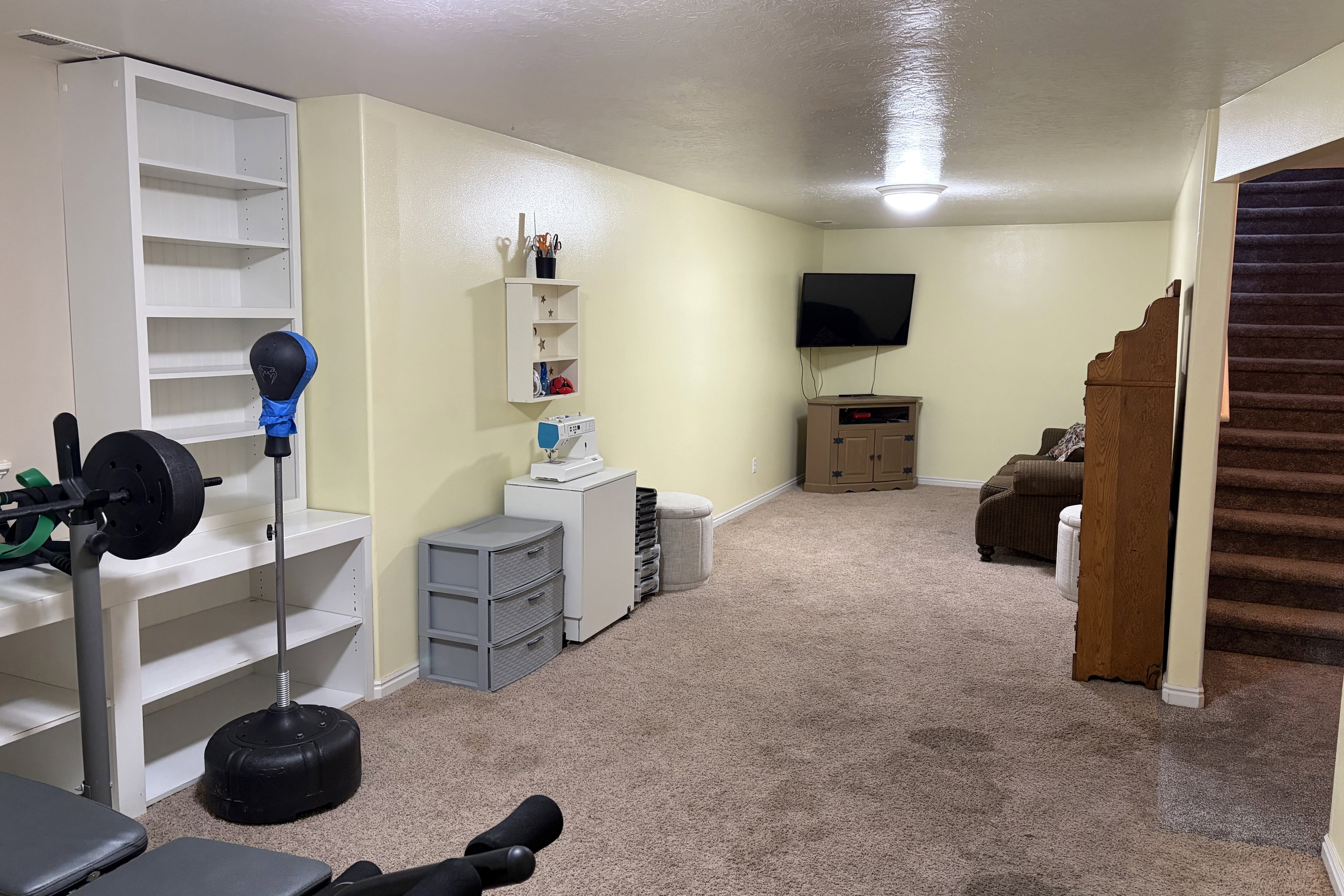 Finished lower level featuring carpeted flooring, built-in shelving, and recessed lighting